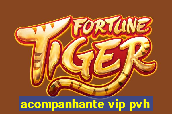 acompanhante vip pvh